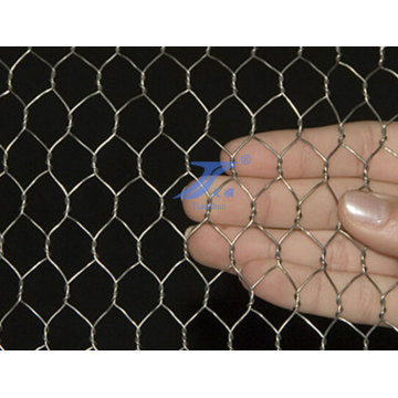 Hexagonal Wire Netting (factory) in Anping